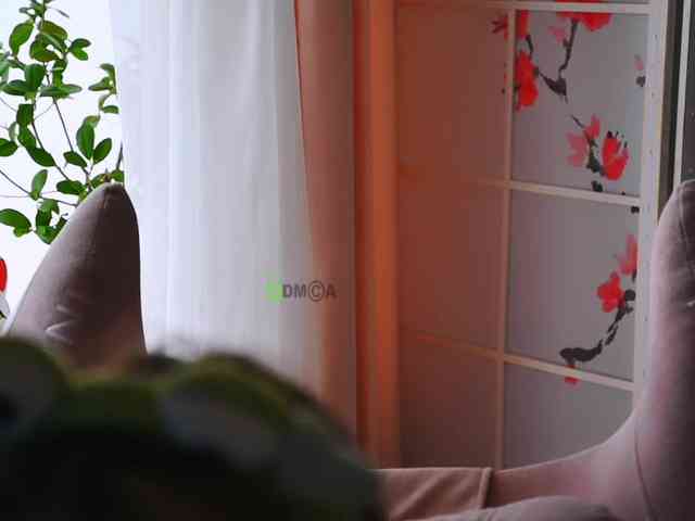-ANN webcam
