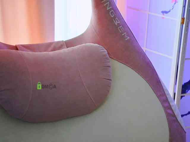 -ANN webcam