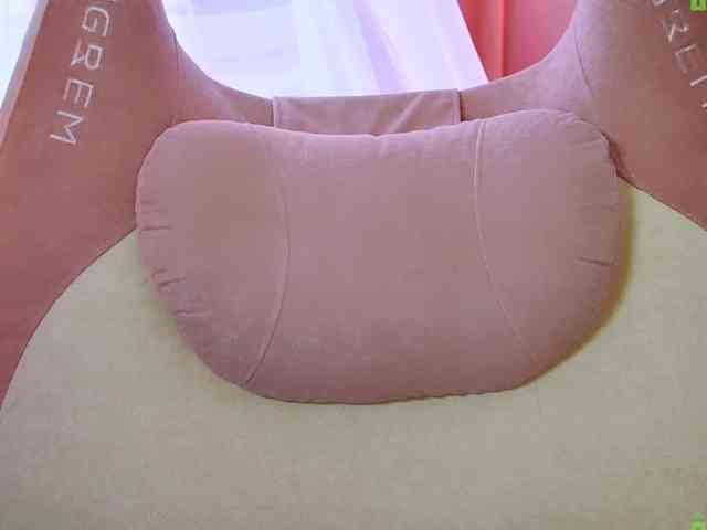 -ANN webcam