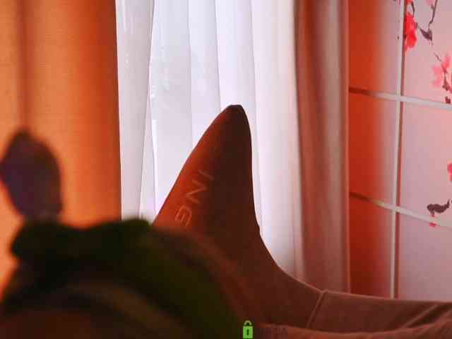 -ANN webcam