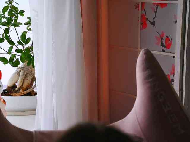 -ANN webcam