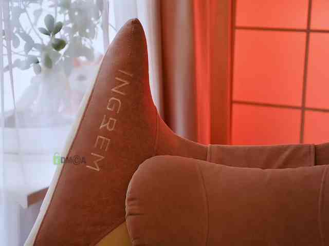 -ANN webcam