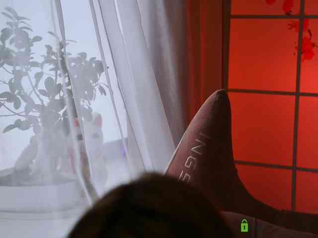 -ANN webcam