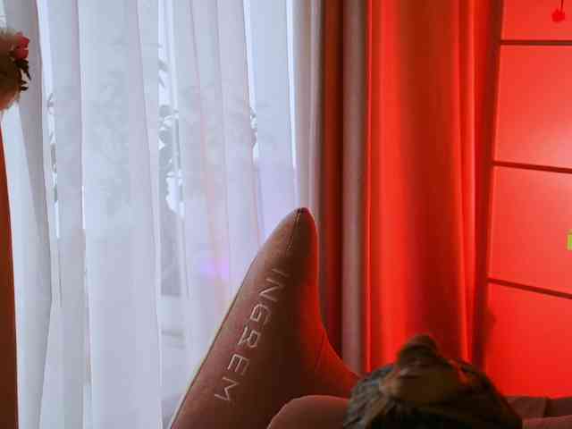 -ANN webcam