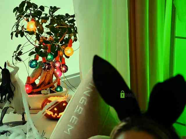 -ANN webcam