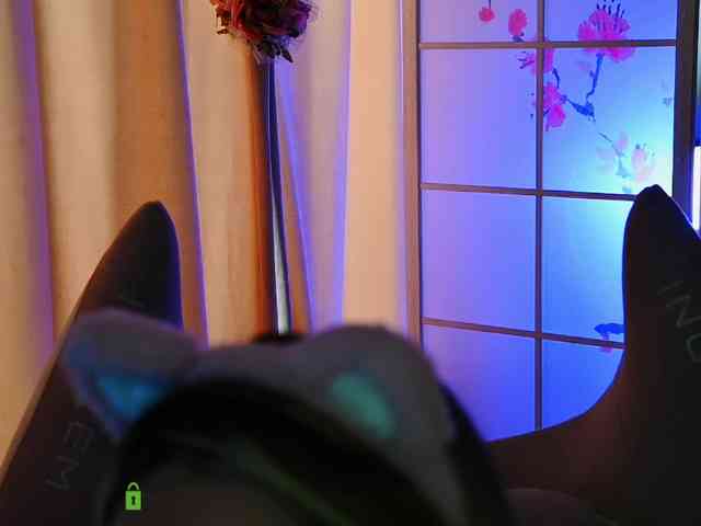 -ANN webcam