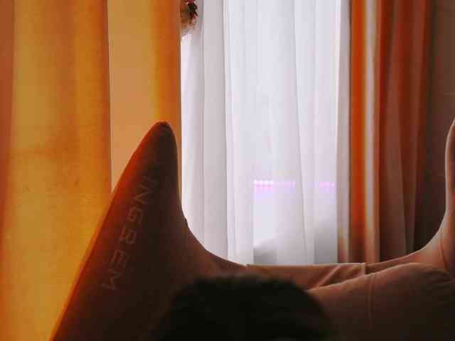 -ANN webcam