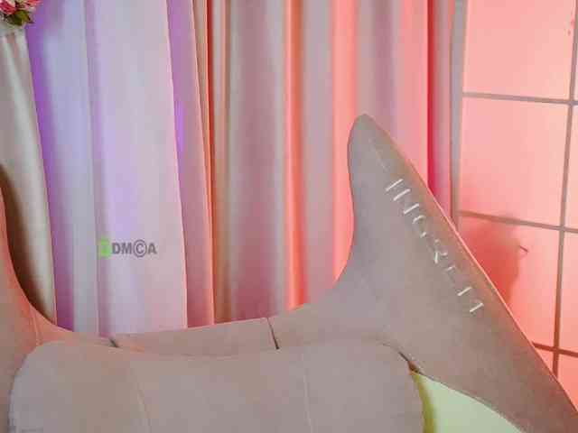 -ANN webcam