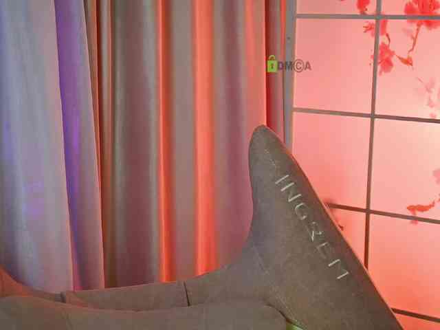 -ANN webcam