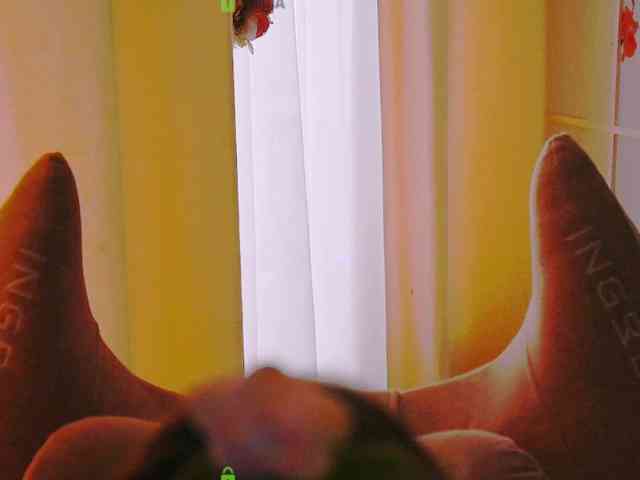 -ANN webcam