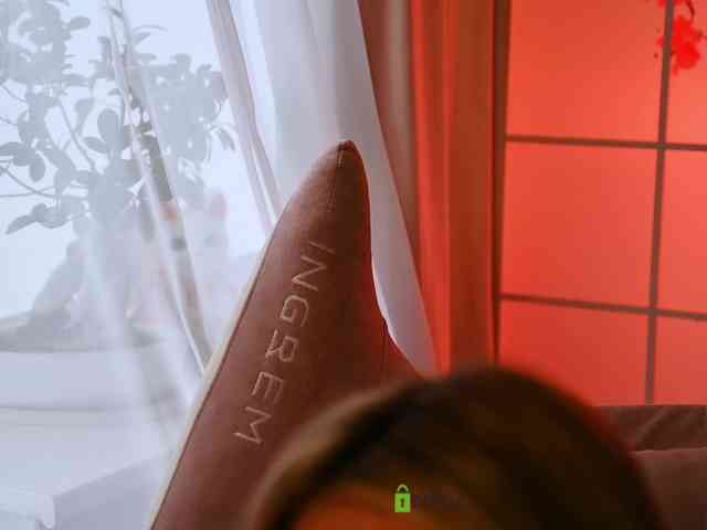 -ANN webcam