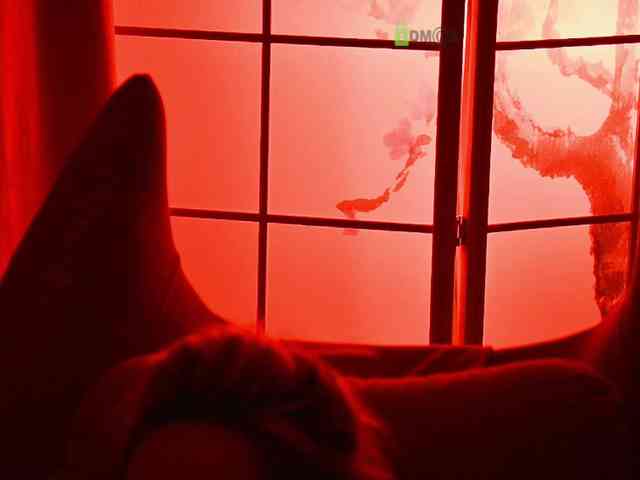 -ANN webcam