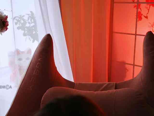 -ANN webcam
