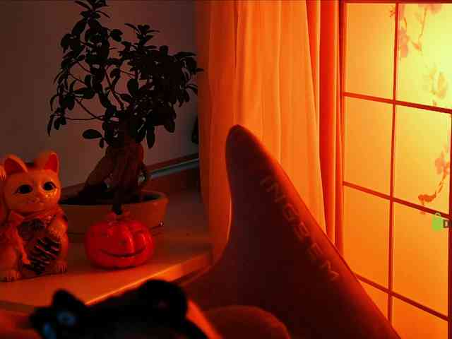 -ann's live room