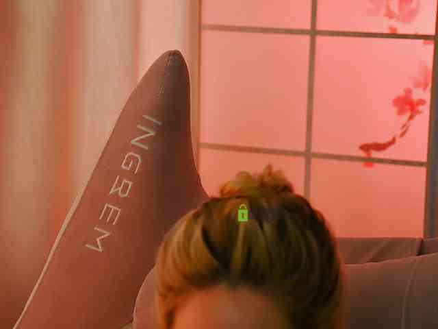-ANN webcam