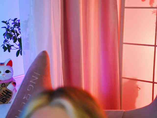 -ANN webcam