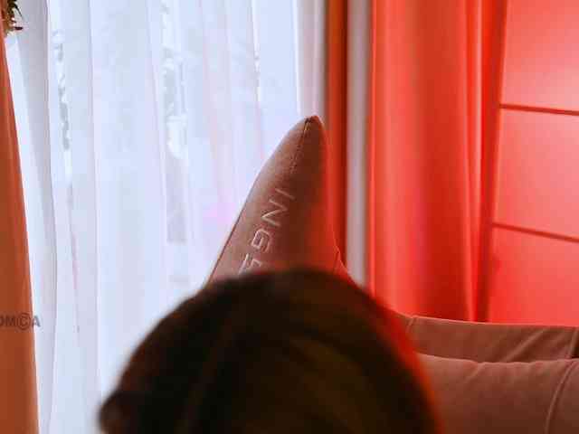 -ANN webcam