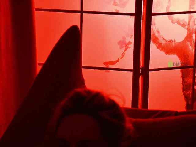 -ANN webcam