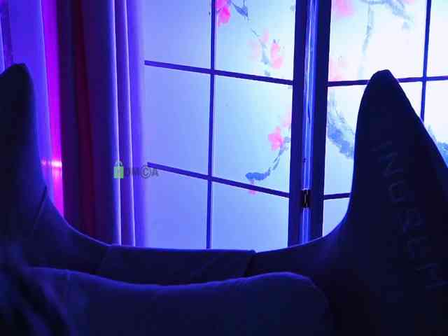 -ANN webcam
