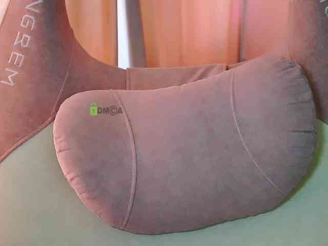 -ANN webcam