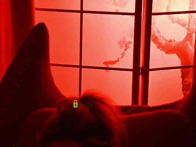 -ANN webcam