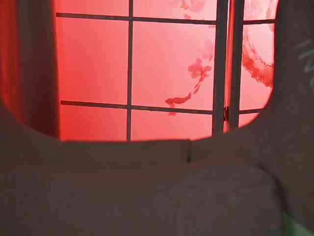 -ANN webcam