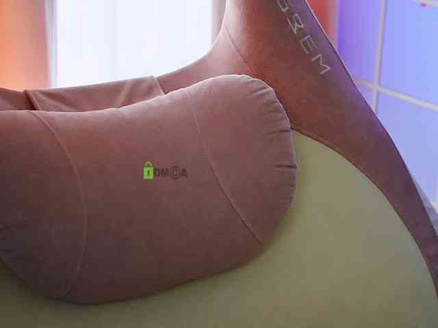 -ANN webcam