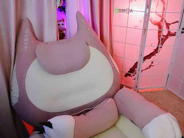 -ANN webcam