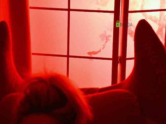 -ANN webcam