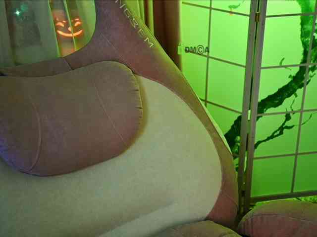 -ANN webcam