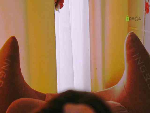 -ANN webcam
