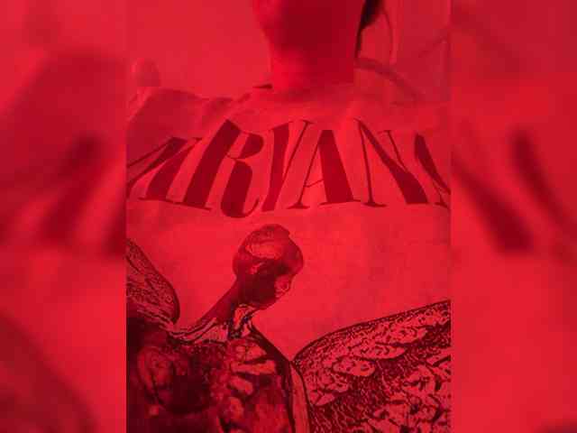 -ANN webcam