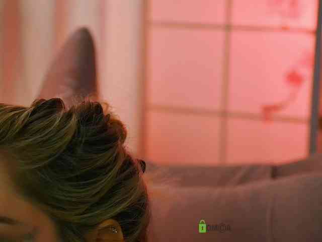 -ANN webcam