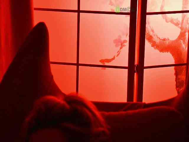 -ANN webcam