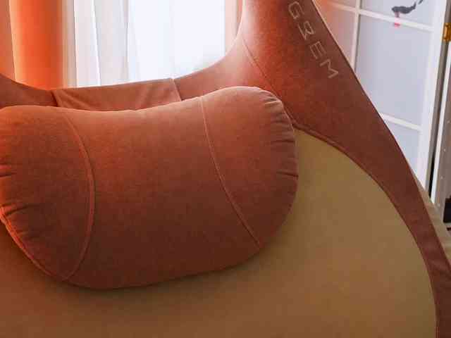 -ANN webcam