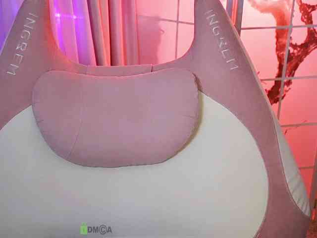 -ANN webcam