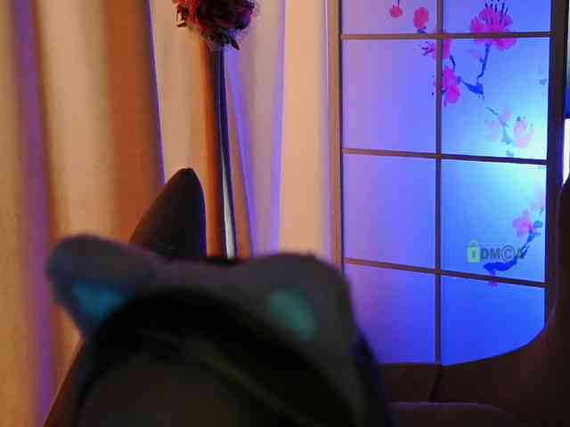 -ANN webcam