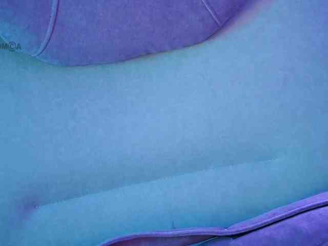 -ANN webcam