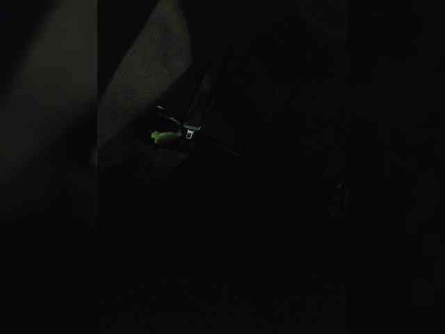 RealScuf