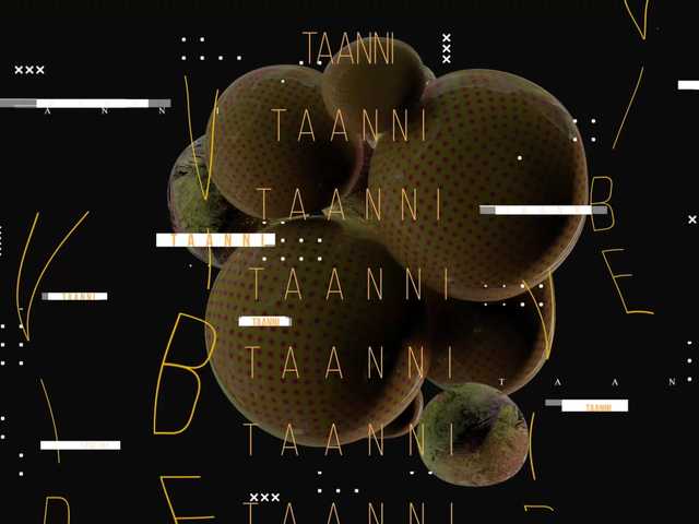 Taanni