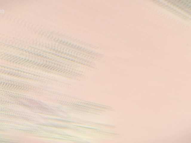 Taanni's BongaCams show and profile