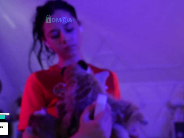 Taanni live cam on BongaCams