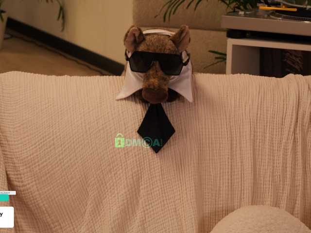 Taanni live cam on BongaCams