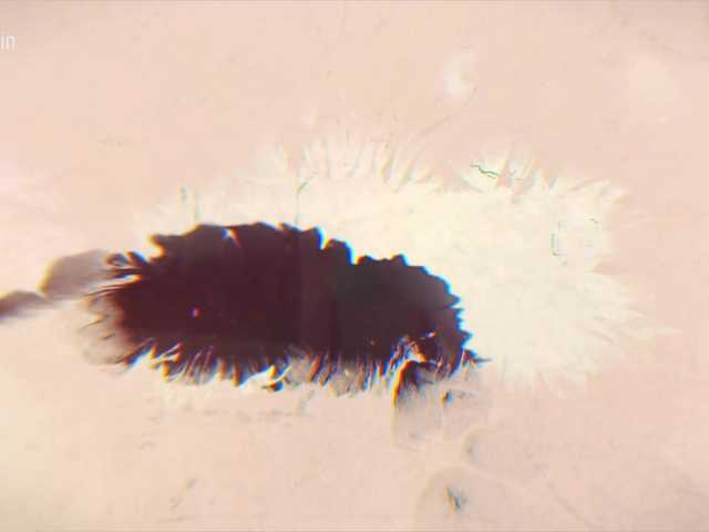 Taanni's BongaCams profile