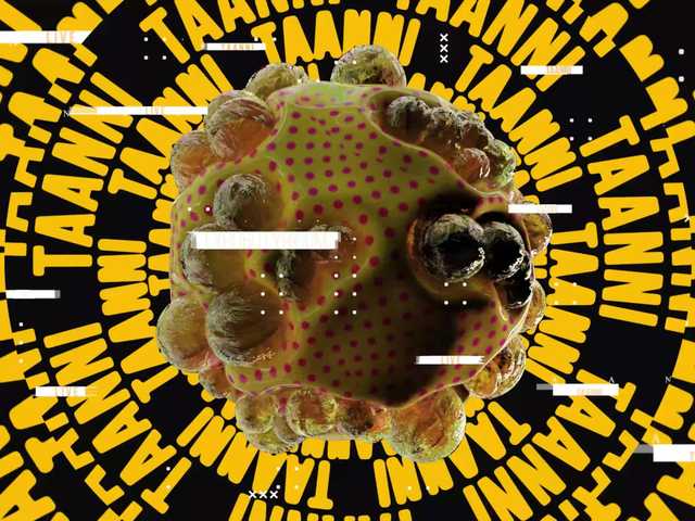 Taanni