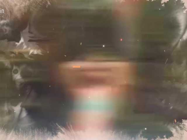 Taanni