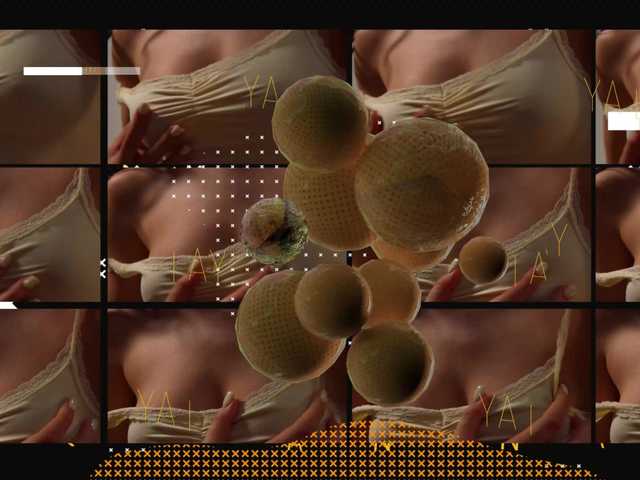 Taanni