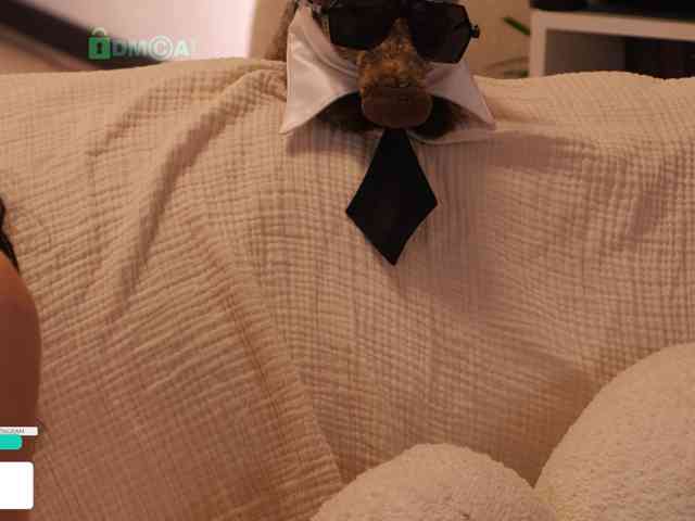 Taanni webcam