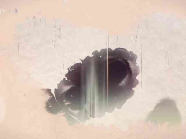 Модель: Taanni