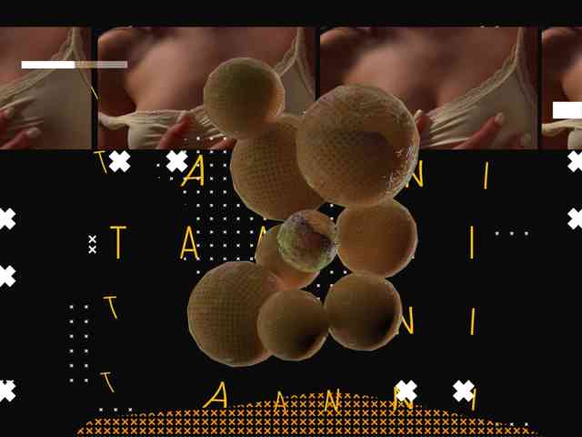 Taanni webcam